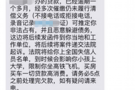 苍南为什么选择专业追讨公司来处理您的债务纠纷？